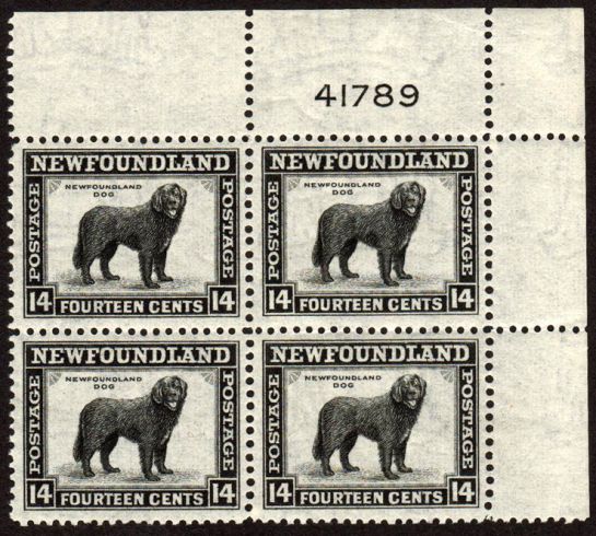Plate block of the 14 cent Newfoundland dog stamp from 1941