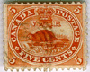 1859 5 cent Beaver stamp