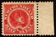 1/2 cent stamp depicting Newfoundland dog